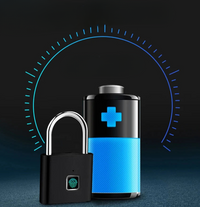 Pulselock Mini